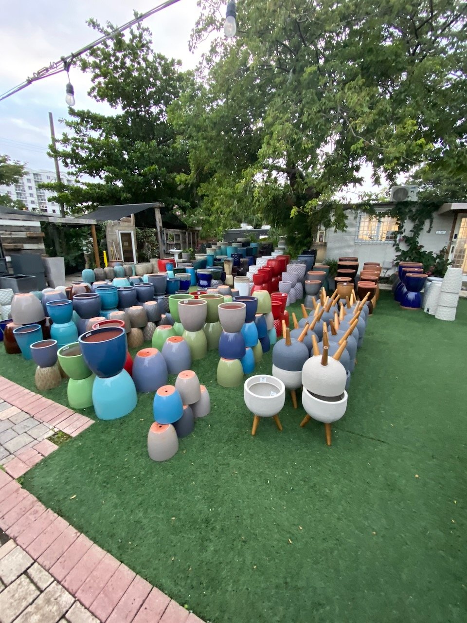 Zoom Bloomz flower shop near Edgewater Miami